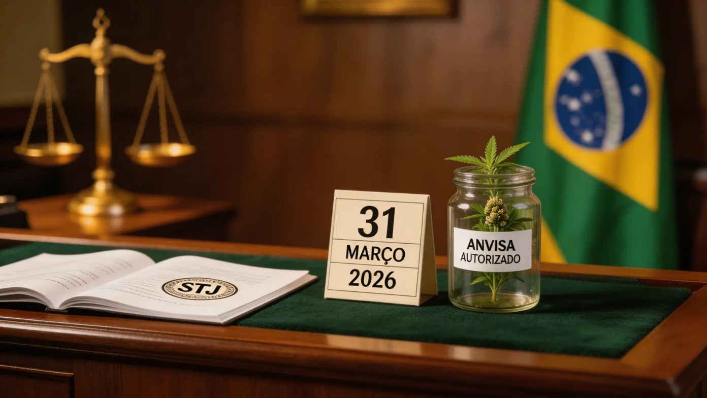 Documentos regulatórios da ANVISA e calendário com prazo de 31 de março de 2026 sobre mesa institucional, representando o marco regulatório do cannabis medicinal no Brasil e o prazo final do STJ IAC 16